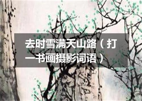 去时雪满天山路（打一书画摄影词语）