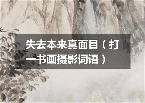 失去本来真面目（打一书画摄影词语）