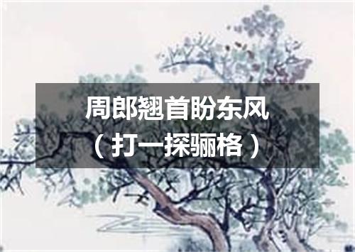 周郎翘首盼东风（打一探骊格）