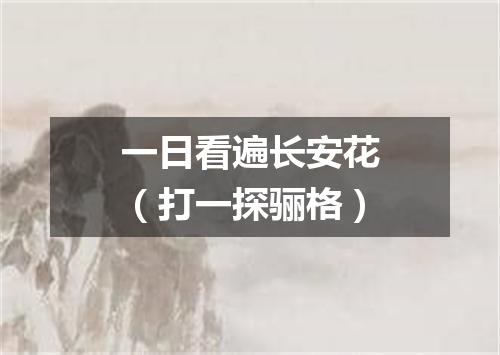 一日看遍长安花（打一探骊格）
