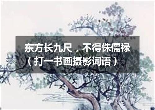 东方长九尺，不得侏儒禄（打一书画摄影词语）