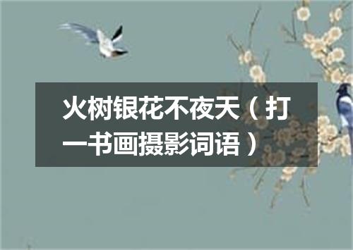 火树银花不夜天（打一书画摄影词语）