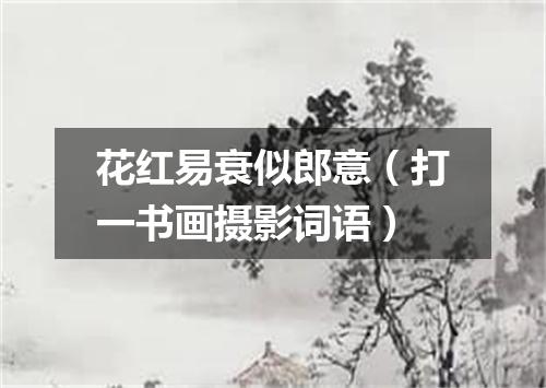 花红易衰似郎意（打一书画摄影词语）