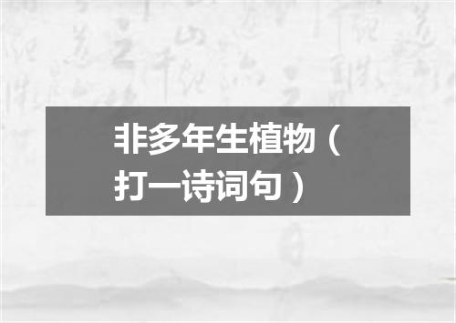 非多年生植物（打一诗词句）