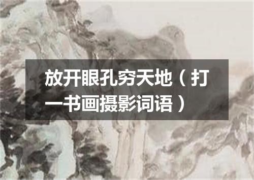 放开眼孔穷天地（打一书画摄影词语）