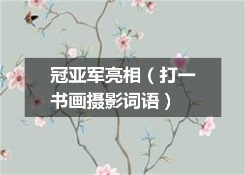 冠亚军亮相（打一书画摄影词语）