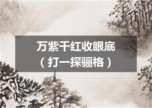 万紫千红收眼底（打一探骊格）
