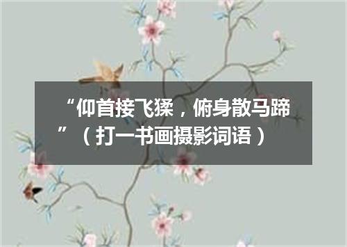 “仰首接飞猱，俯身散马蹄”（打一书画摄影词语）