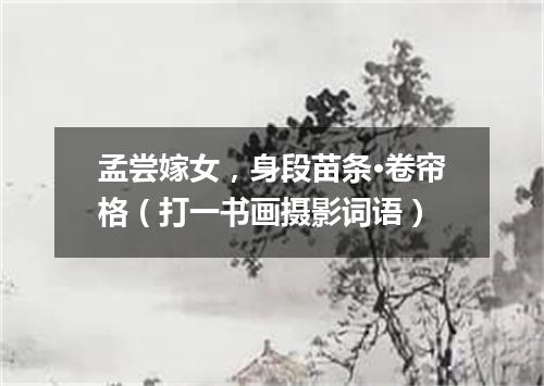 孟尝嫁女，身段苗条·卷帘格（打一书画摄影词语）