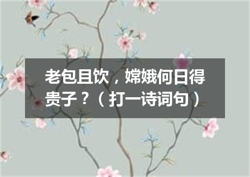 老包且饮，嫦娥何日得贵子？（打一诗词句）