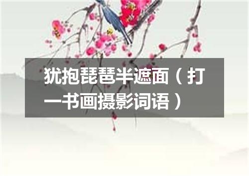犹抱琵琶半遮面（打一书画摄影词语）