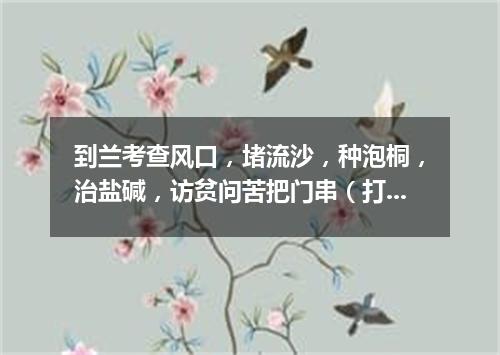 到兰考查风口，堵流沙，种泡桐，治盐碱，访贫问苦把门串（打一书画摄影词语）