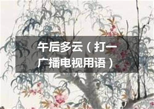 午后多云（打一广播电视用语）