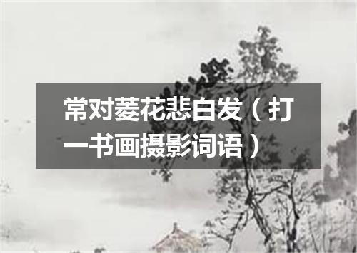 常对菱花悲白发（打一书画摄影词语）