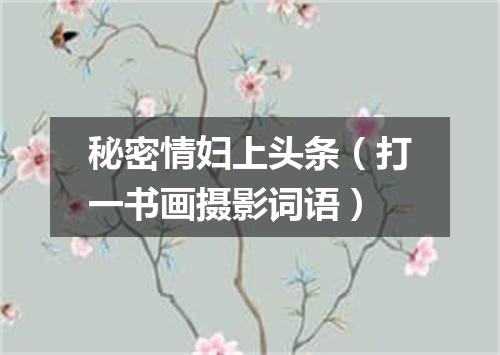 秘密情妇上头条（打一书画摄影词语）