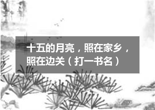十五的月亮，照在家乡，照在边关（打一书名）