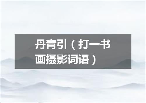丹青引（打一书画摄影词语）