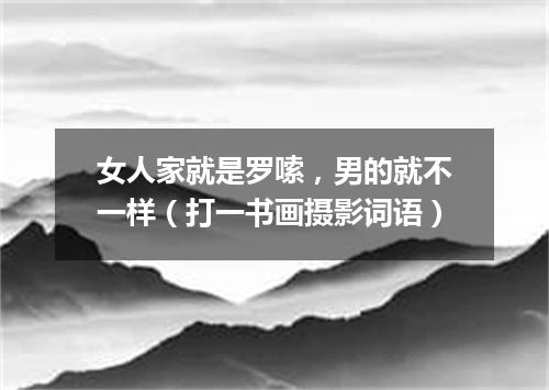 女人家就是罗嗦，男的就不一样（打一书画摄影词语）