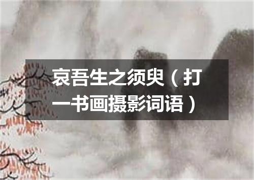 哀吾生之须臾（打一书画摄影词语）