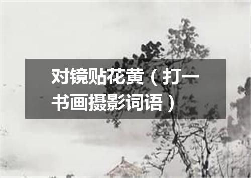 对镜贴花黄（打一书画摄影词语）