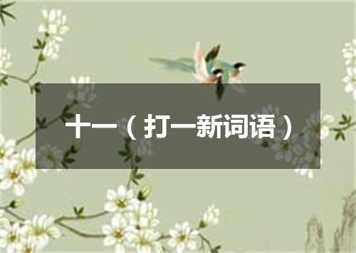 十一（打一新词语）