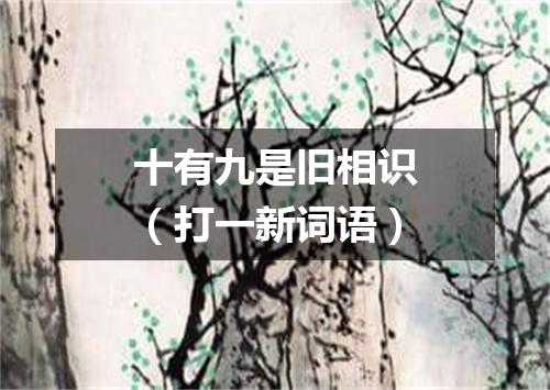 十有九是旧相识（打一新词语）