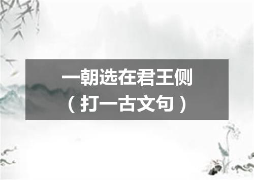 一朝选在君王侧（打一古文句）