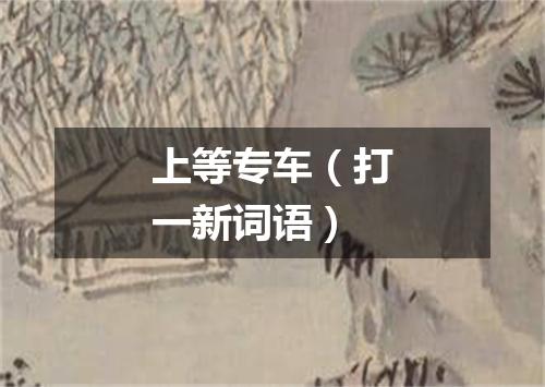 上等专车（打一新词语）