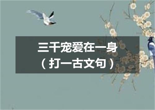 三千宠爱在一身（打一古文句）
