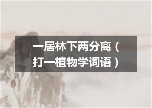 一居林下两分离（打一植物学词语）