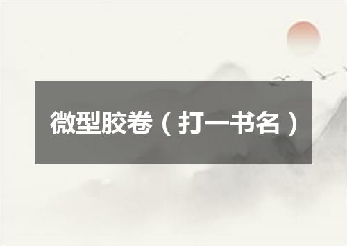 微型胶卷（打一书名）