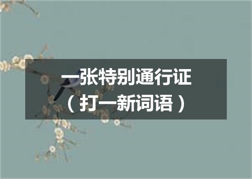一张特别通行证（打一新词语）