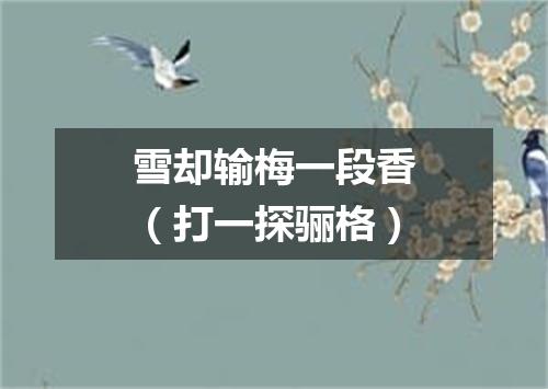 雪却输梅一段香（打一探骊格）