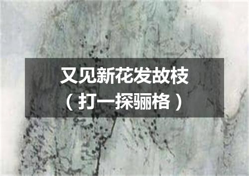 又见新花发故枝（打一探骊格）