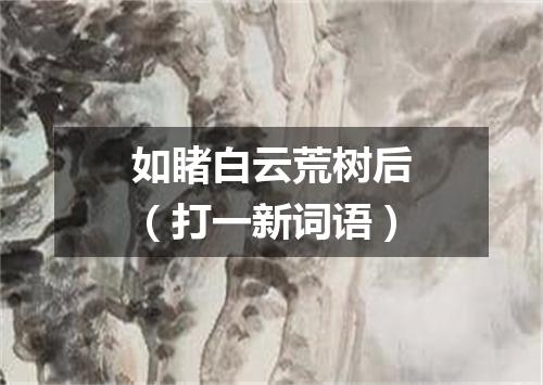 如睹白云荒树后（打一新词语）