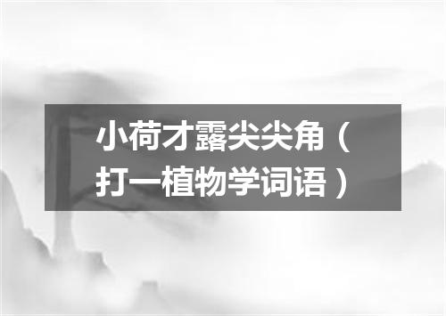 小荷才露尖尖角（打一植物学词语）