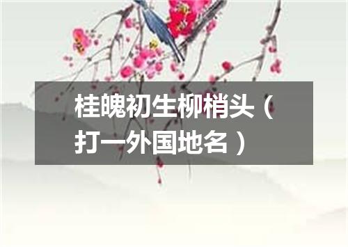 桂魄初生柳梢头（打一外国地名）