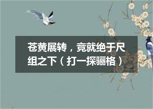 苍黄展转，竞就绝于尺组之下（打一探骊格）