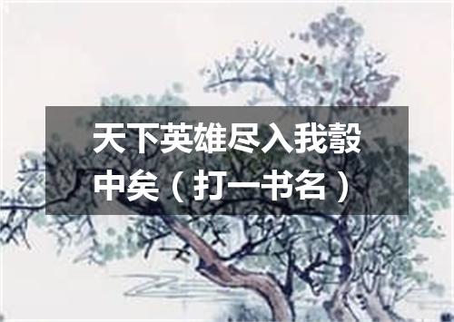 天下英雄尽入我彀中矣（打一书名）