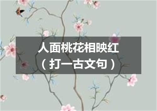 人面桃花相映红（打一古文句）