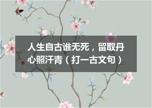 人生自古谁无死，留取丹心照汗青（打一古文句）