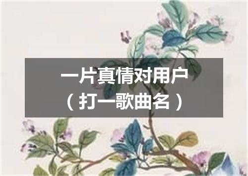 一片真情对用户（打一歌曲名）