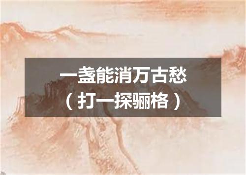 一盏能消万古愁（打一探骊格）