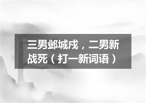 三男邺城戍，二男新战死（打一新词语）