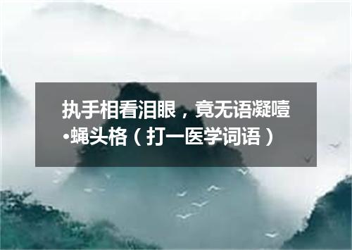 执手相看泪眼，竟无语凝噎·蝇头格（打一医学词语）