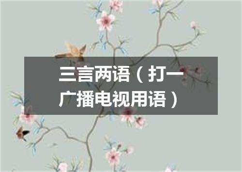 三言两语（打一广播电视用语）