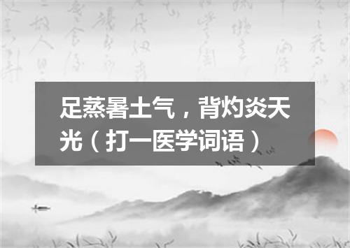 足蒸暑土气，背灼炎天光（打一医学词语）