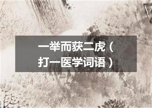 一举而获二虎（打一医学词语）