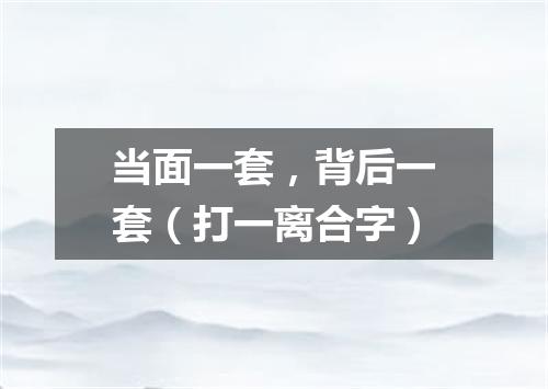 当面一套，背后一套（打一离合字）