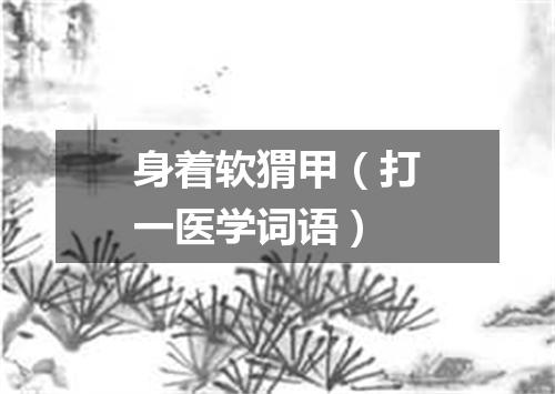 身着软猬甲（打一医学词语）